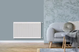 Radiateur eau chaude horizontal 1720W, l.100xH.60cm blanc DE'LONGHI Easy salon